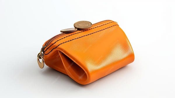 Coin Purse Mini